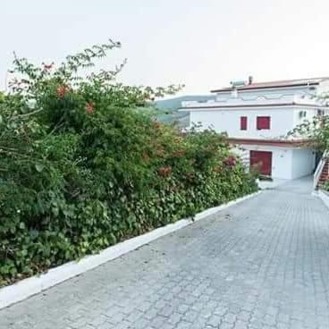 Villa Milena Apartments & Rooms Agropoli Ngoại thất bức ảnh